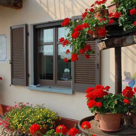 Oda ve Kahvaltı Il Borgo Castellinaldo